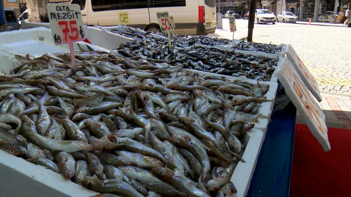 Rize’de hamsinin bollaşmasıyla fiyatı 50 TL’ye düştü