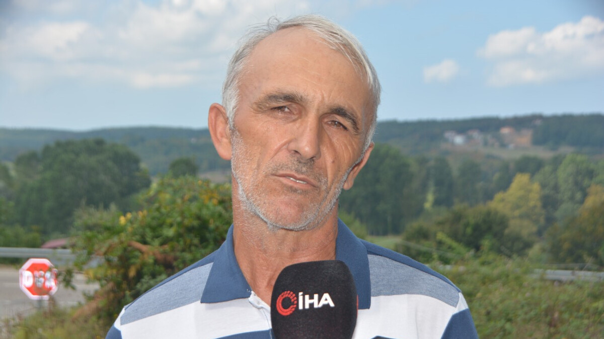 Sinop’ta 20 tane başıboş köpek saldırısına uğradı