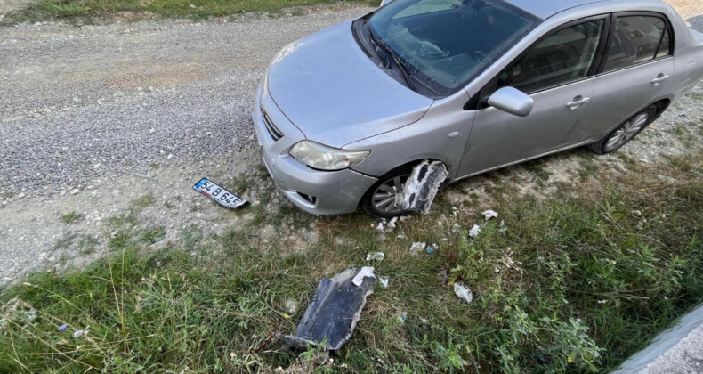 Sokak köpekleri bu kez Sakarya’da otomobili parçaladı