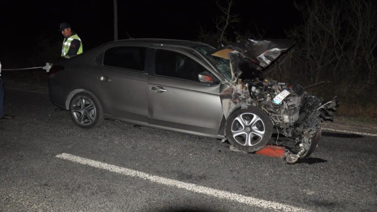 Tekirdağ’da otomobil domuz sürüsüne çarptı: 1’i ağır 2 yaralı