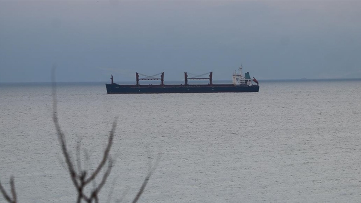 Tekirdağ’da yük gemisinden çalınan 84 ton buğday ele geçirildi