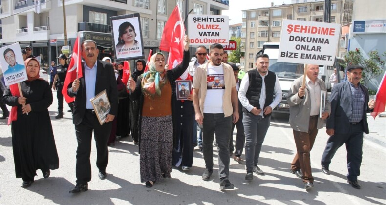 Vanlı aileler dağa kaçırılan çocukları için eylem yaptı