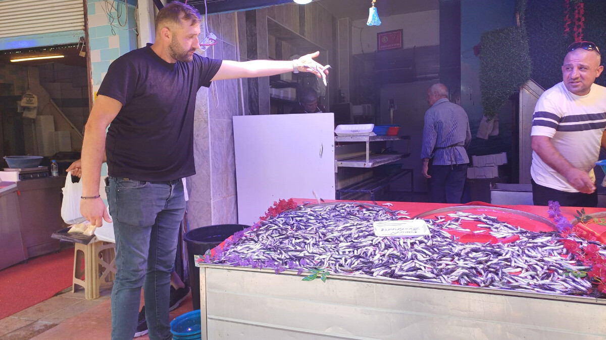 Yasak kalktı, ağlar denize altıldı! Hamsinin kilosu 100 TL…