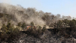 Yunanistan’daki orman yangınında 14. gün: Havadan müdahalede zorlanılıyor