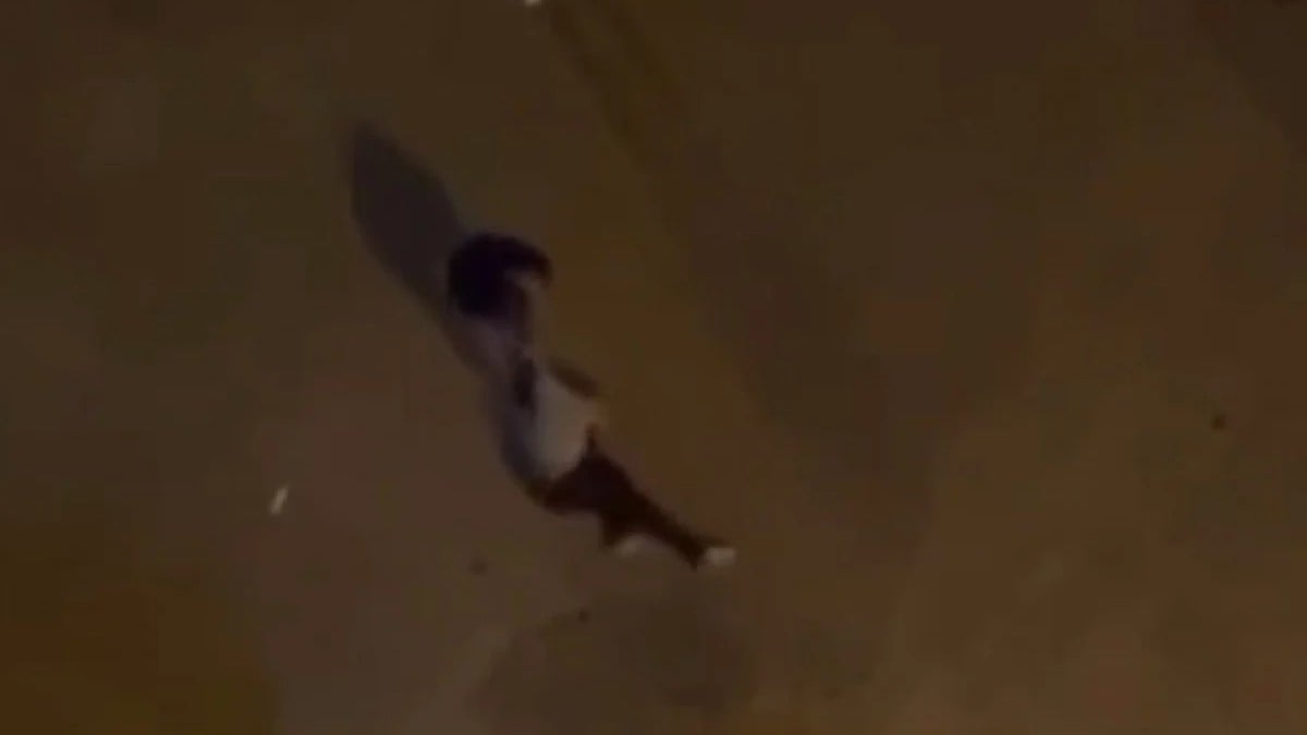 Adana’da mahalleliden uyuşturucu satıcısına meydan dayağı