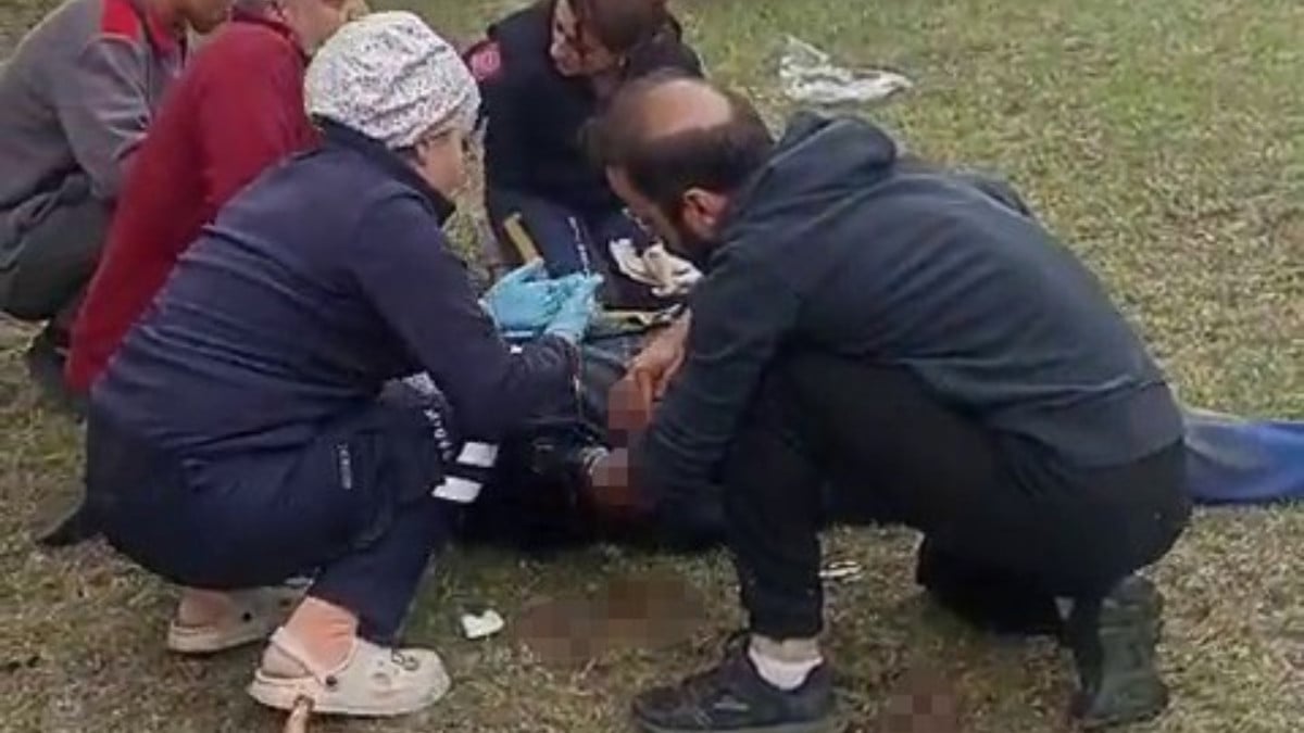 Artvin’de ayının saldırdığı yaşlı adamı komşuları kurtardı