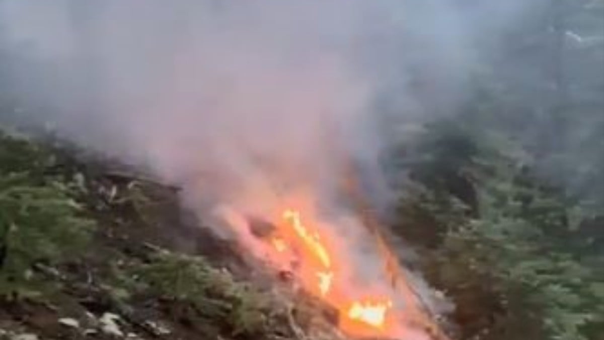 Artvin’de korkutan anlar! Ağaca yıldırım düştü, ormanda yangın çıktı