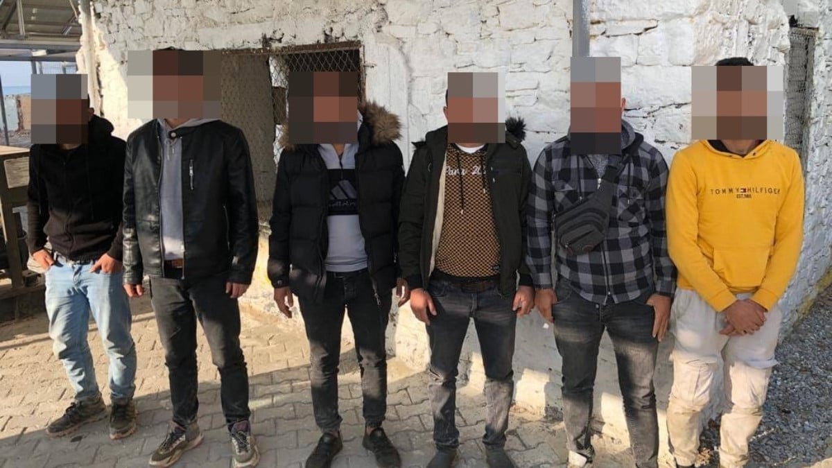 Aydın’da kaçak göçmen operasyonu! Pamuk tarlasından çıktılar…