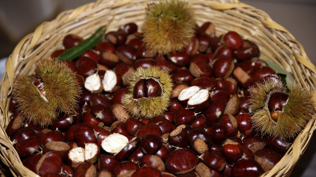 Aydın’da sezonun ilk kestanesi 350 liradan satıldı