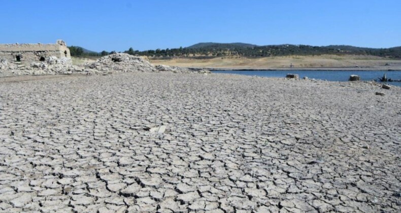 Bodrum’da kuraklık tehlikesi! Barajda su kalmadı