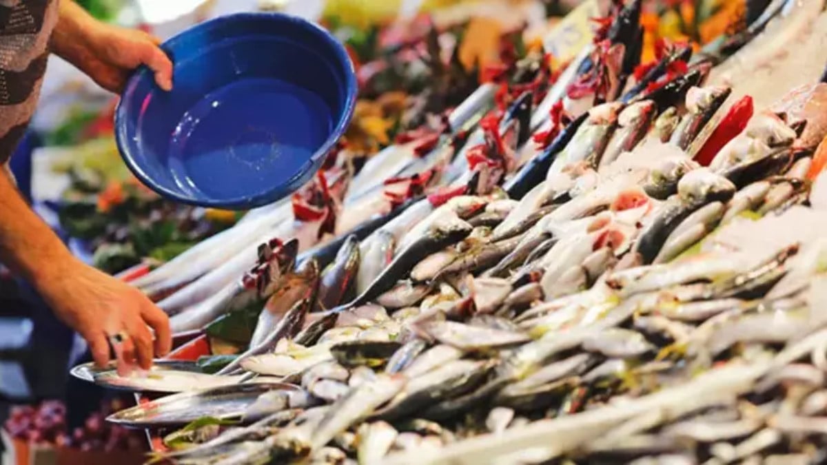 Bu balığı yiyenler o hastalıktan sonsuza kadar kurtulacak! Gözümüzün önündeki saklı cevher…