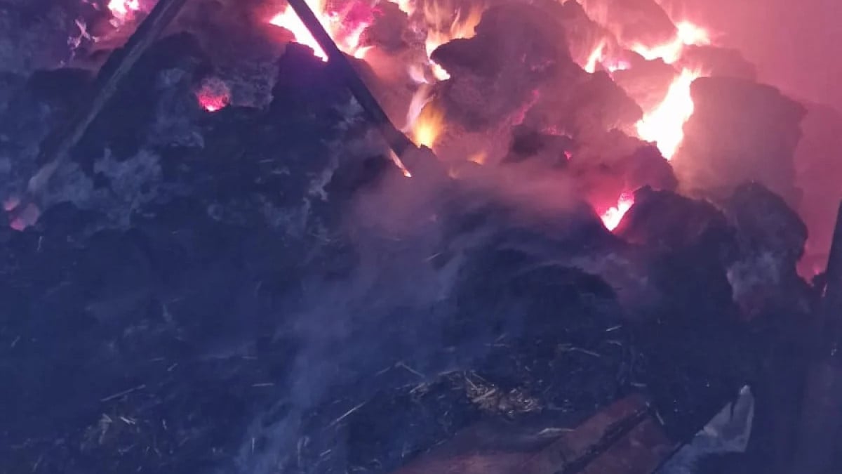 Bursa’daki ağılda yangın! 44 küçükbaş öldü…