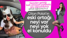 Dilan Polat’ın eski ortağı Nez Demir’in de mal varlıklarına el konuldu