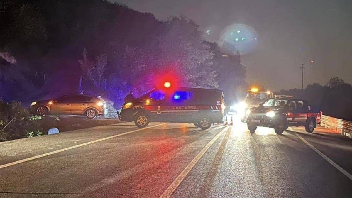 Düzce’de at sürüsüne çarpan otomobil zincirleme kazaya neden oldu