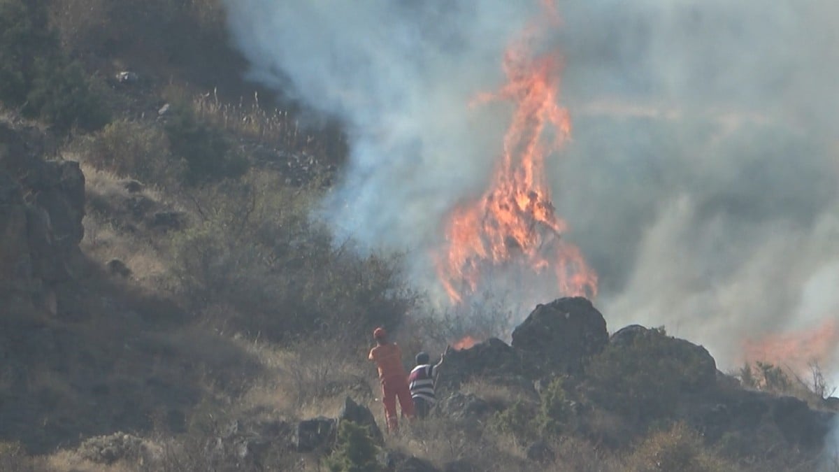 Gümüşhane’de otları temizlemek için ateş yaktı! 2 hektar küle döndü…