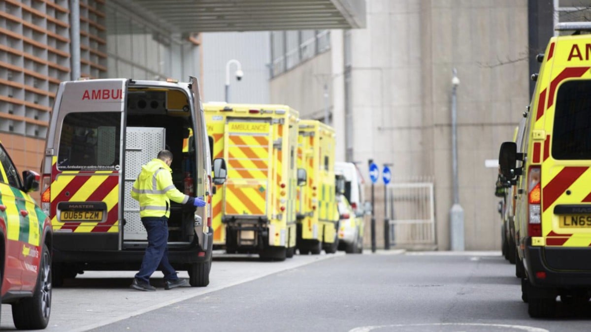 İngiltere’de köpeğin saldırısına uğrayan 54 yaşındaki adam hayatını kaybetti