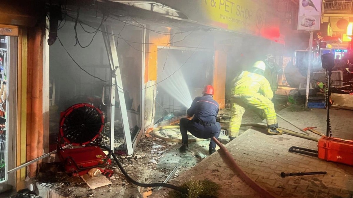 İstanbul Maltepe’de yangın: Çok sayıda hayvan telef oldu