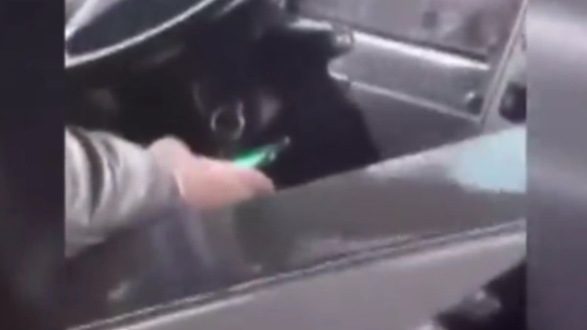 İstanbul’da İETT otobüsü şoförü otobüs kullanırken telefonla oynadı