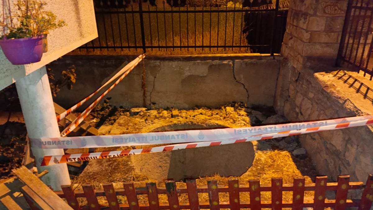 İstanbul’da kedilere mama verirken kuyuya düşüp öldü