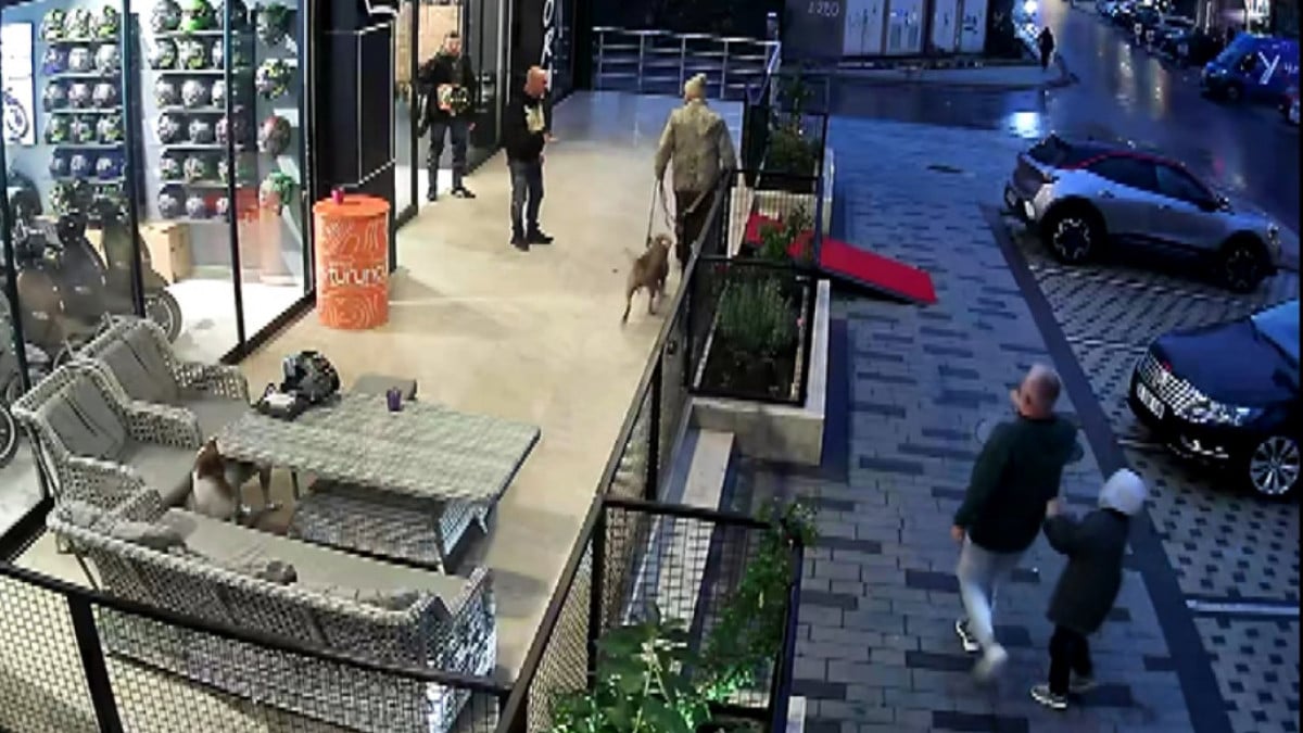 İstanbul’da pitbullu bıçaklı maganda yakalandı