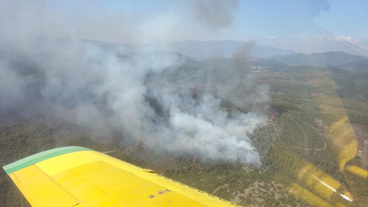 İzmir’de orman yangını: Havadan ve karadan müdahale ediliyor