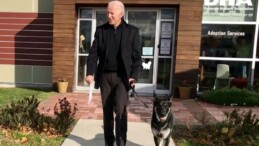 Joe Biden’in köpeği Beyaz Saray’dan uzaklaştırıldı