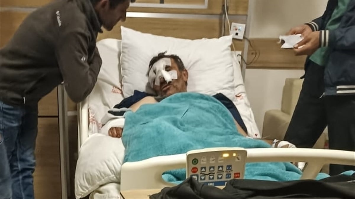 Kars’ta ayı saldırısı: 1 kişi ağır yaralandı