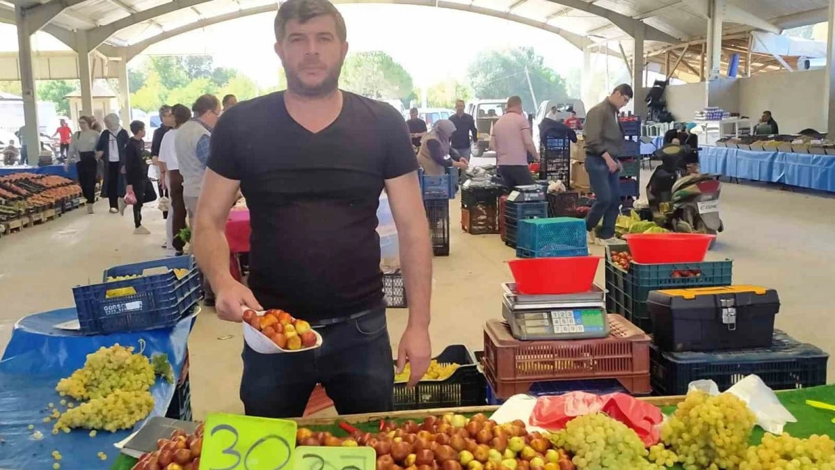 Kütahya Hisarcık’ta fiyatı düşen hünnap rağbet gördü