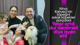 Nihat Kahveci’nin köpeğini parçaladılar! Başıboş sokak köpeklerinden bir vaka daha