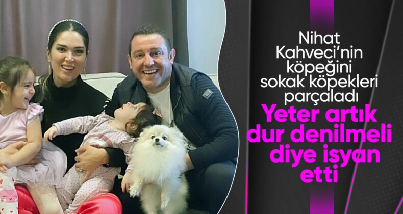 Nihat Kahveci’nin köpeğini parçaladılar! Başıboş sokak köpeklerinden bir vaka daha