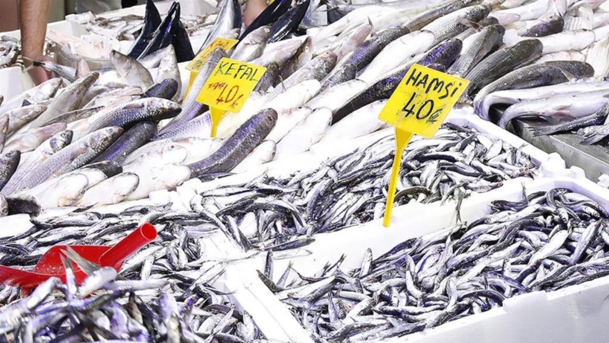 Samsun’da hamsinin kilosu 40 liraya kadar indi