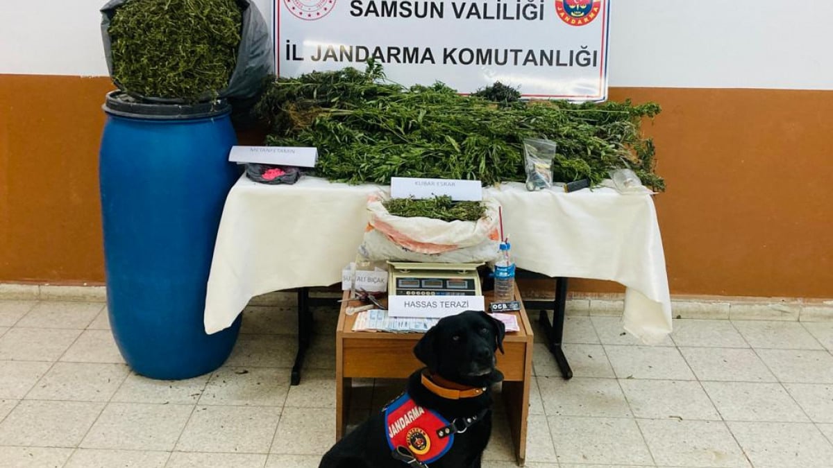Samsun’da uyuşturucu operasyonu! 22 kilo kubar esrar ele geçirildi