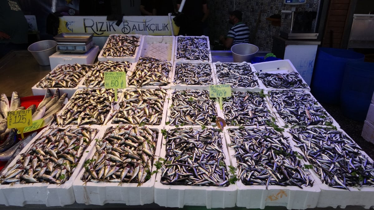Tezgahlarda hamsi bolluğu yaşanıyor: Fiyatlar 50 TL seviyesinde
