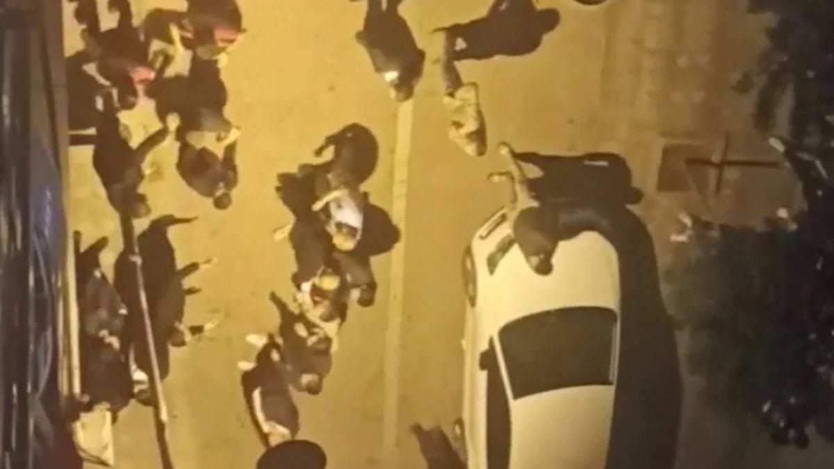 Zeytinburnu’nda komşuların ‘görüş açımı kapattın’ kavgası! Bir kişi darbedildi