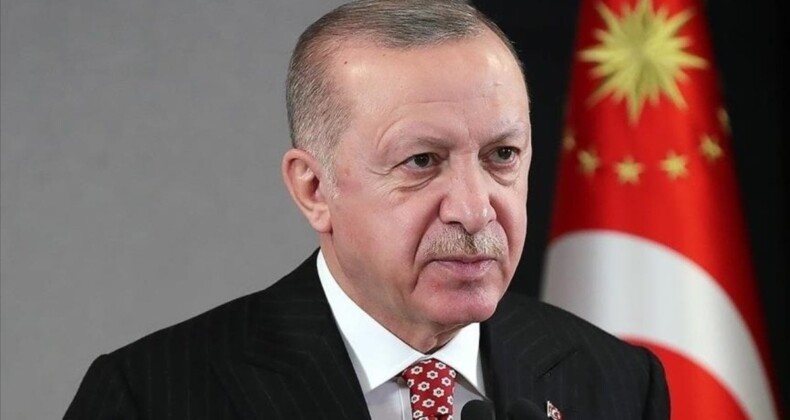 AP Alman üyesinden Cumhurbaşkanı Erdoğan’a: Türkiye’nin çıkarlarını savunuyor