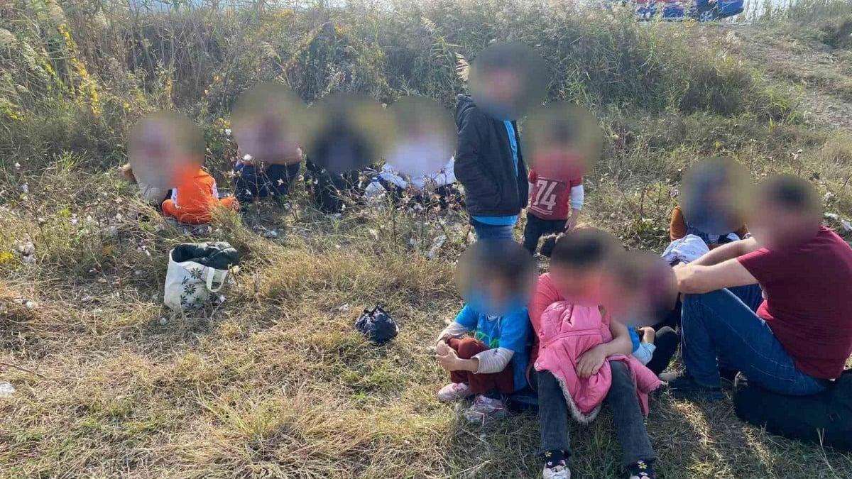 Aydın’da pamuk tarlasına saklanan düzensiz göçmenler yakalandı