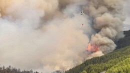 Bu yıl Türkiye’de şu ana kadar 2 bin 498 orman yangını çıktı