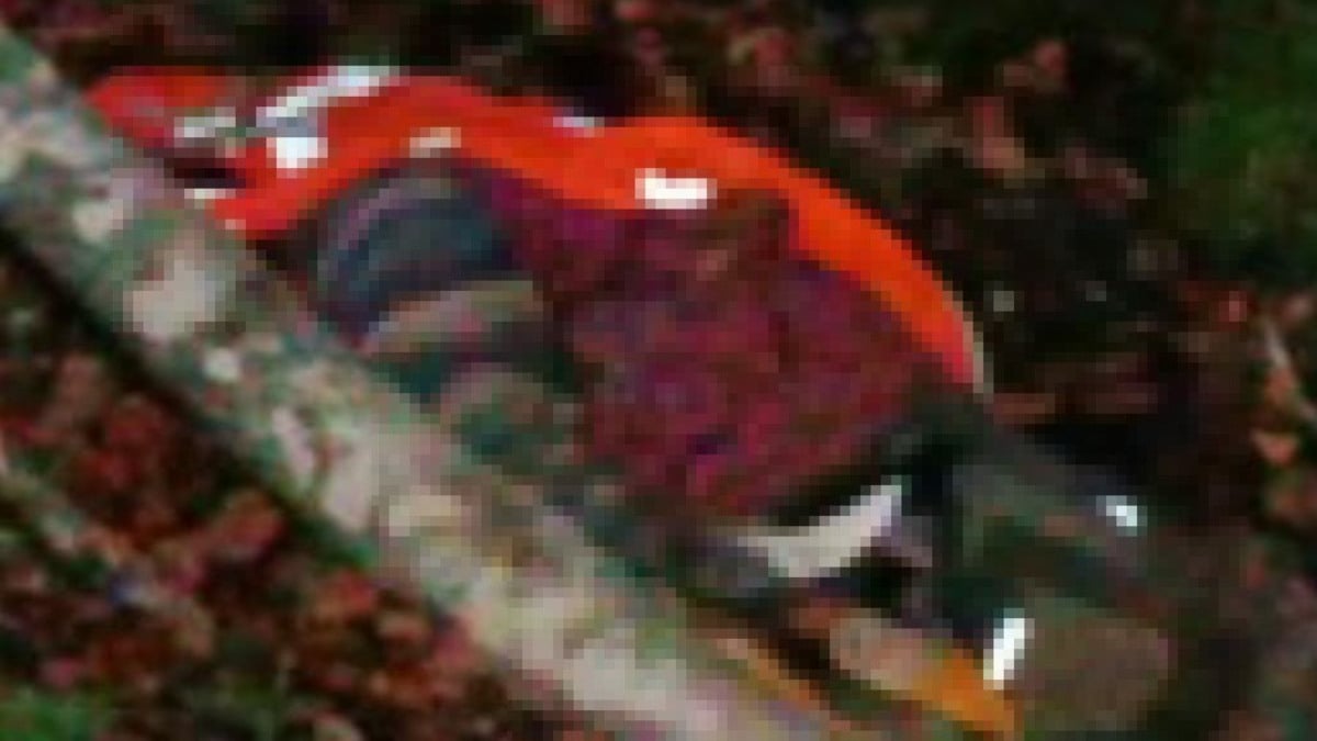 Bursa’da kestiği ağacın altında kalan işçi öldü