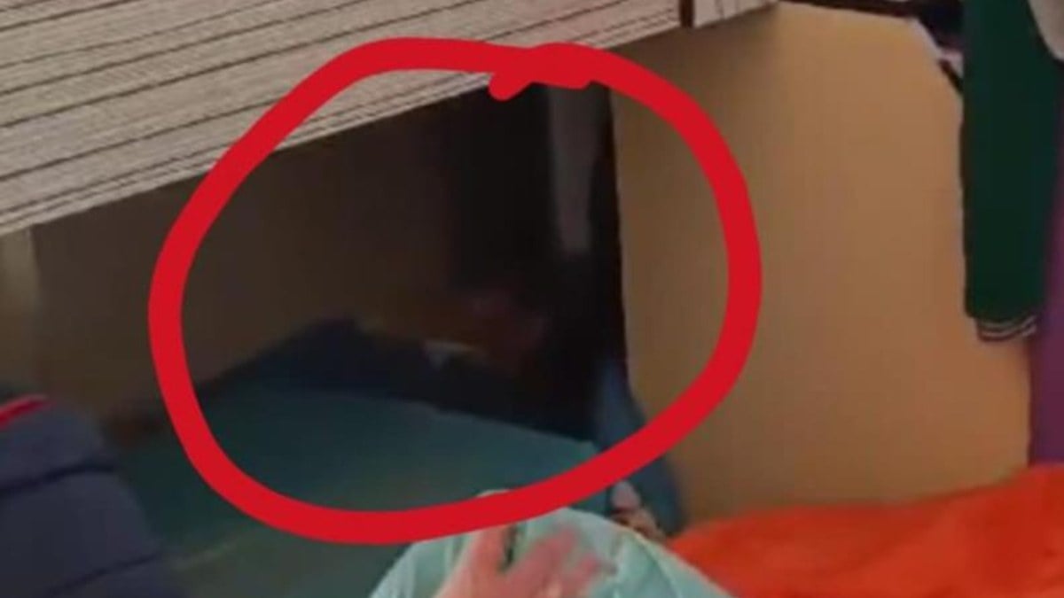 Denizli’de FETÖ’cü öğretmen gizli bölmeden çıktı: Son sözü dikkat çekti