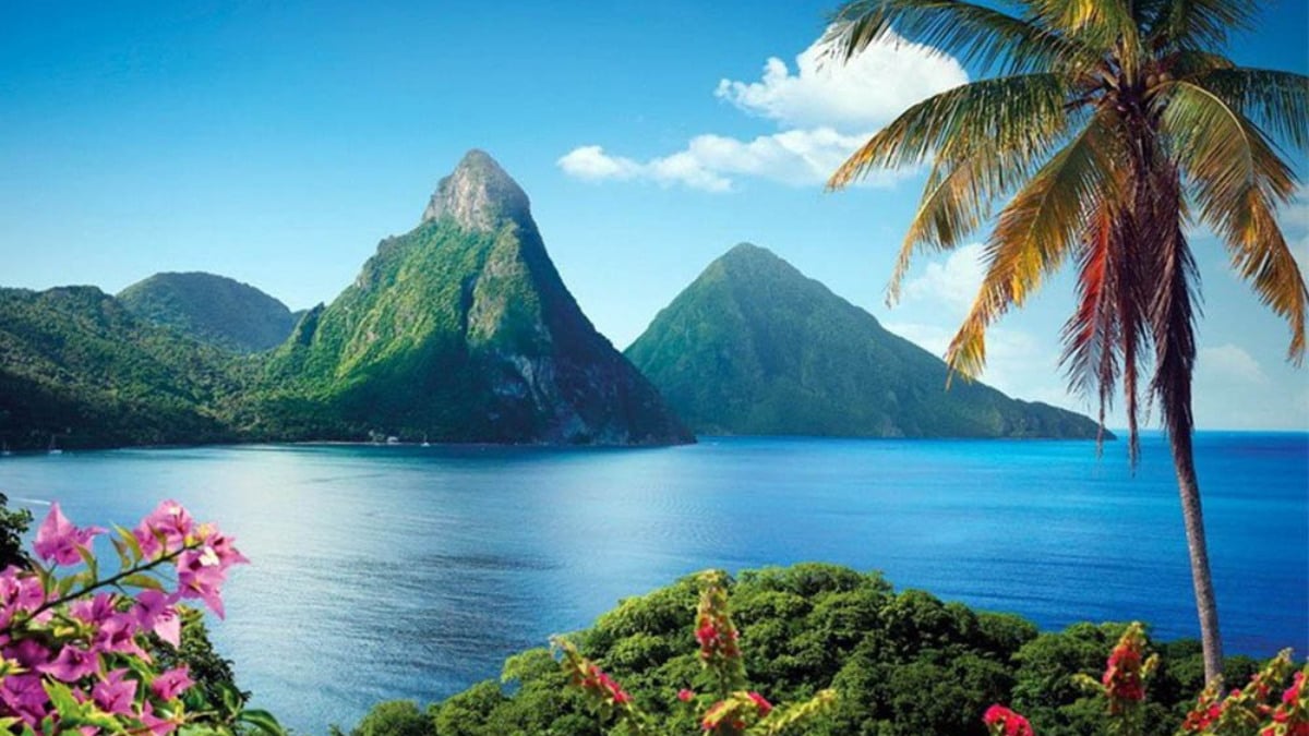 Dünya bu ilanı konuşuyor! Gizemli milyarder adasında yaşayacak çift arıyor! 5,5 milyon lira maaş