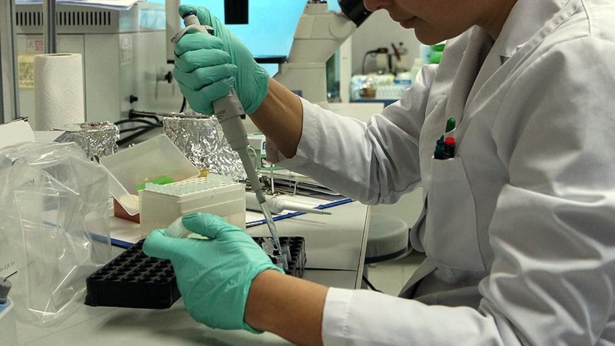 İngiltere’de ilk kez bir kişide domuz gribinin farklı türü görüldü