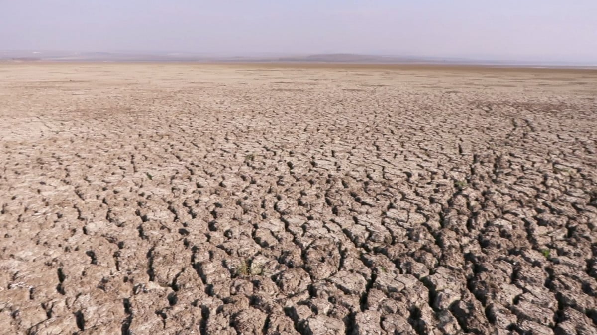 İstanbul alarm veriyor: Büyükçekmece Gölü kurudu, su alımı durduruldu