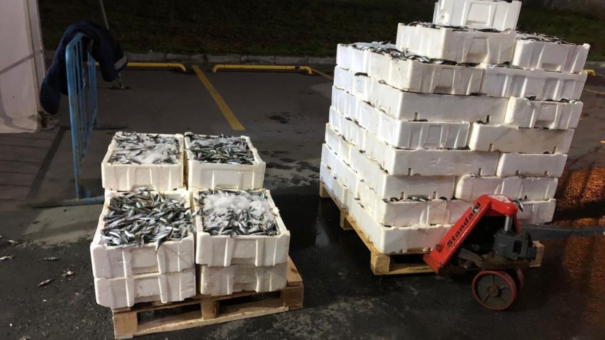 İstanbul’da kaçak avcılık yapanlara ceza yağdı: 24 kişiye 193 bin TL