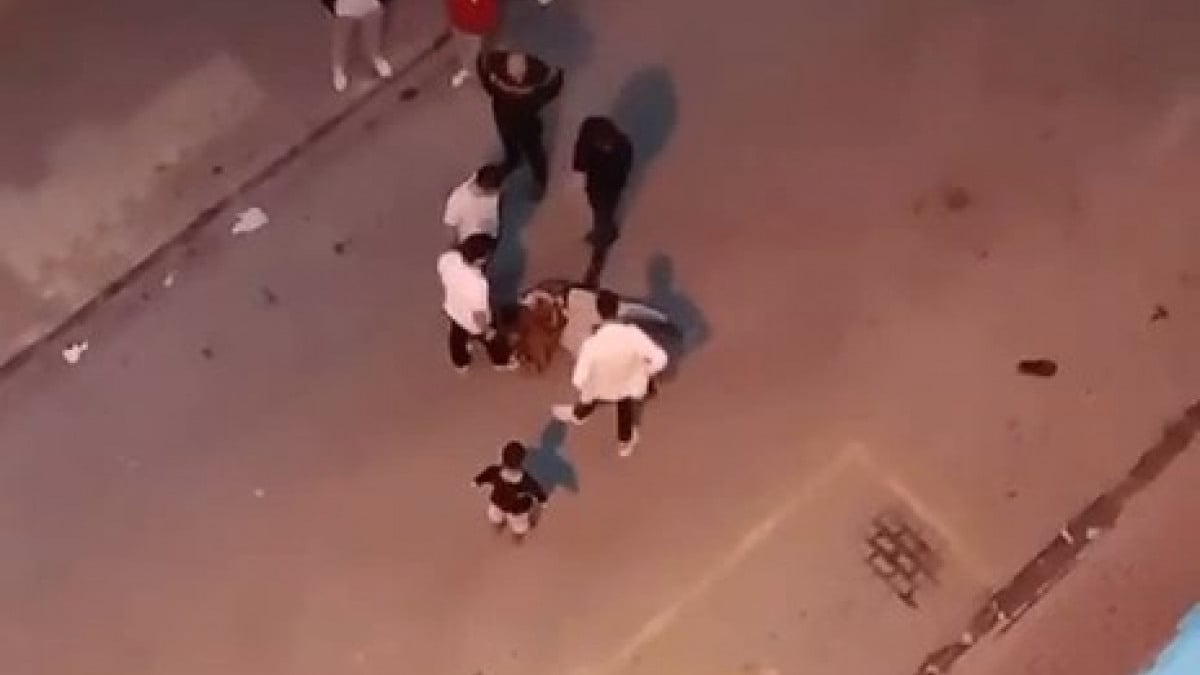 İstanbul’da kaçak göçmen denetimi: Polisi görünce kaçtı