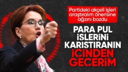 İyi Partili Arzu Önşen’in Meral Akşener’i şikayet dilekçesi ortaya çıktı