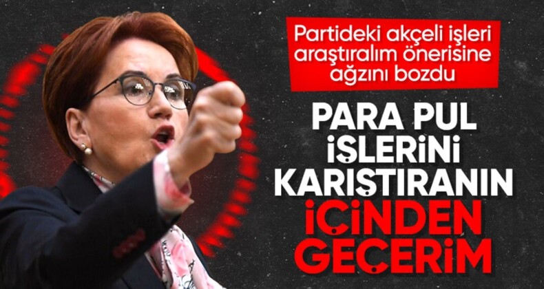 İyi Partili Arzu Önşen’in Meral Akşener’i şikayet dilekçesi ortaya çıktı