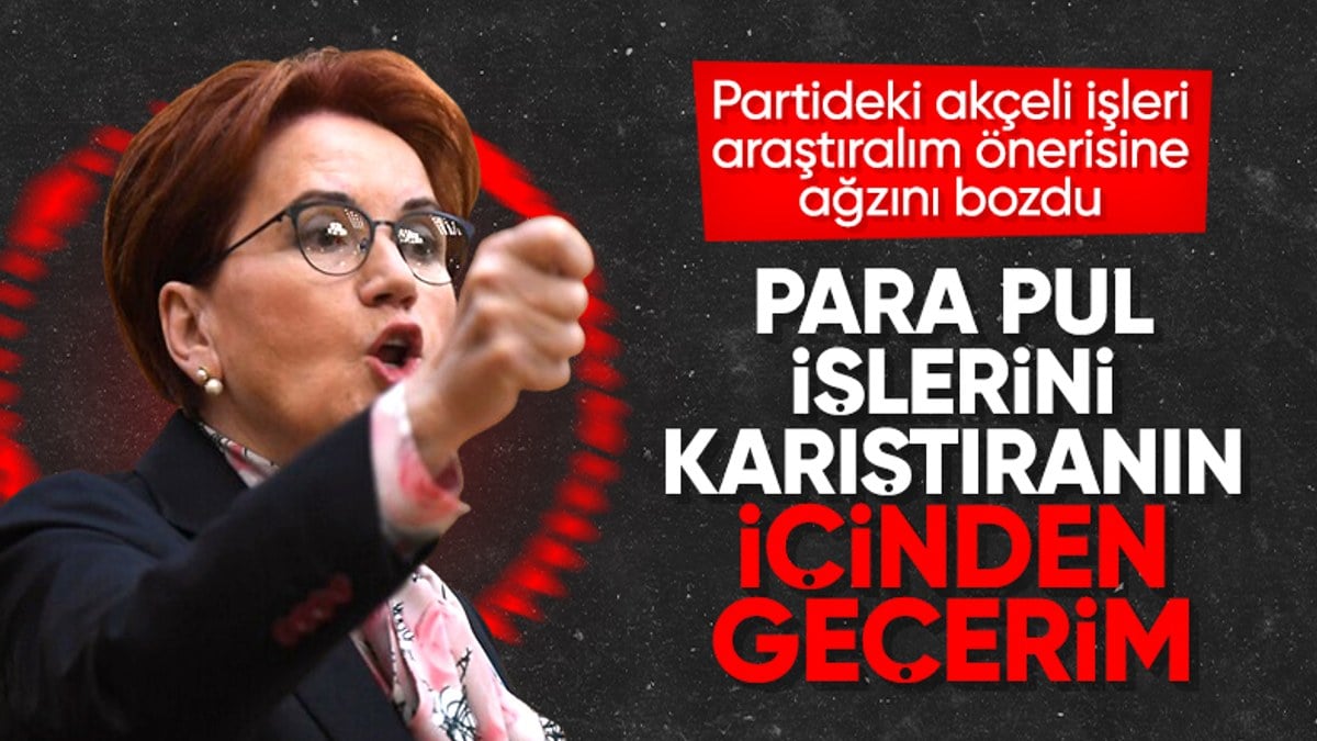 İyi Partili Arzu Önşen’in Meral Akşener’i şikayet dilekçesi ortaya çıktı