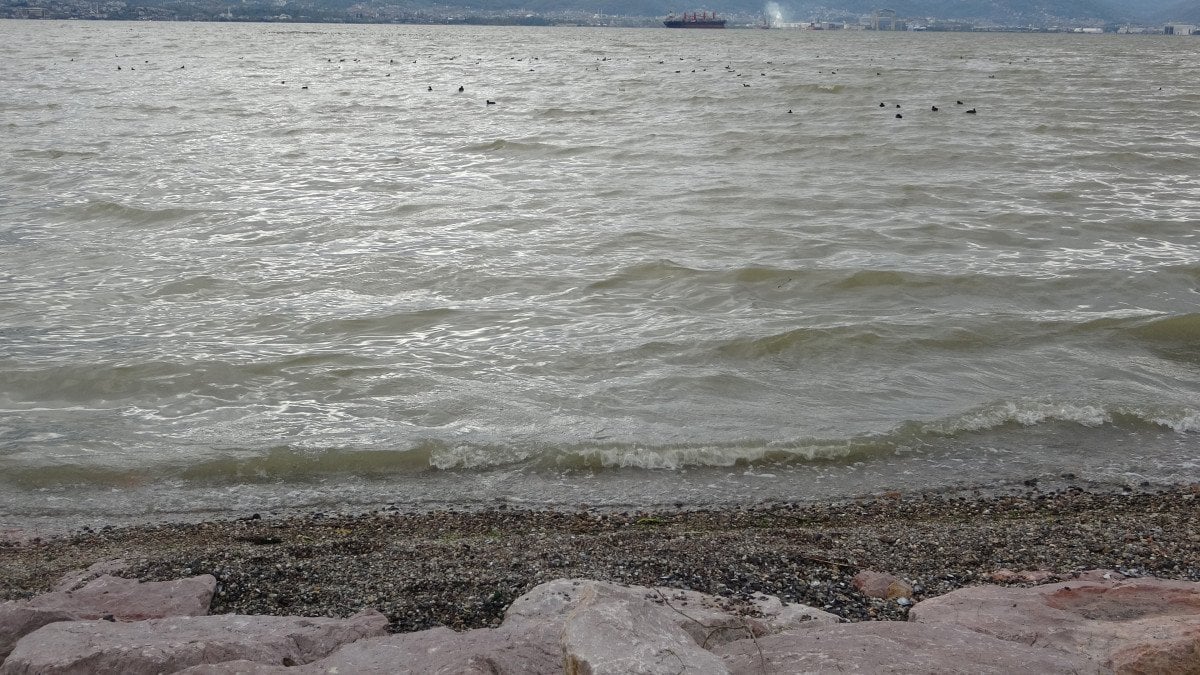 İzmit Körfezi’nde denizin rengi değişti