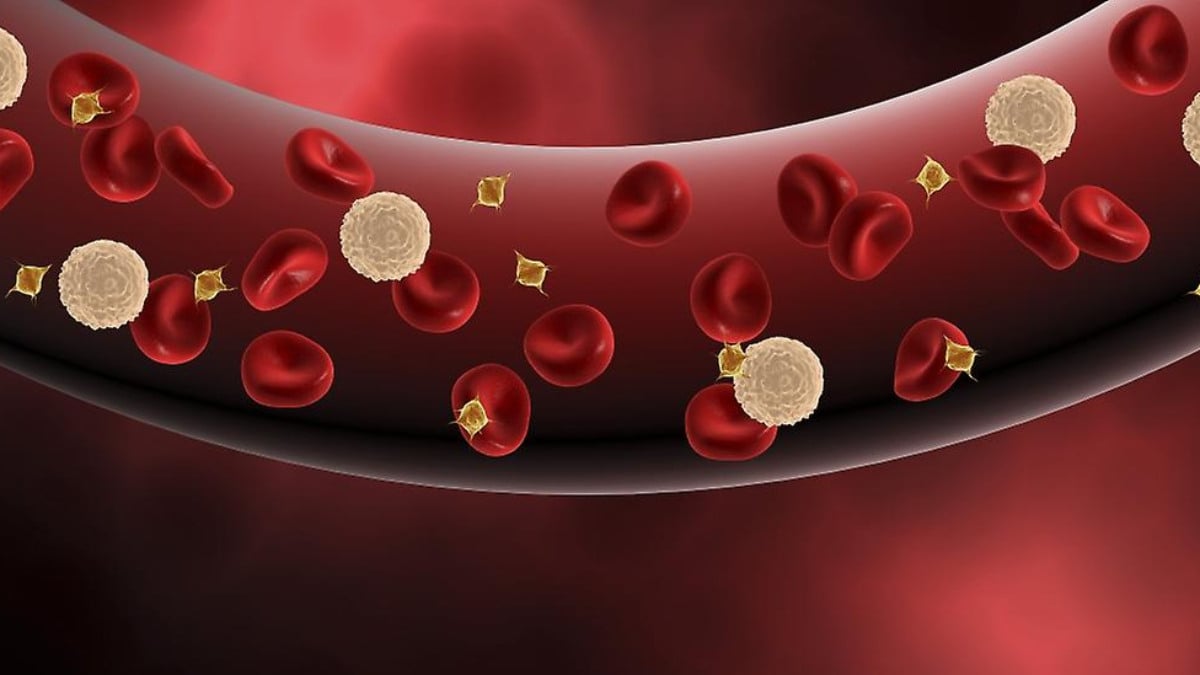 Kandaki enfeksiyonu bitiriyor! 1 avuç atıp kaynatıp için