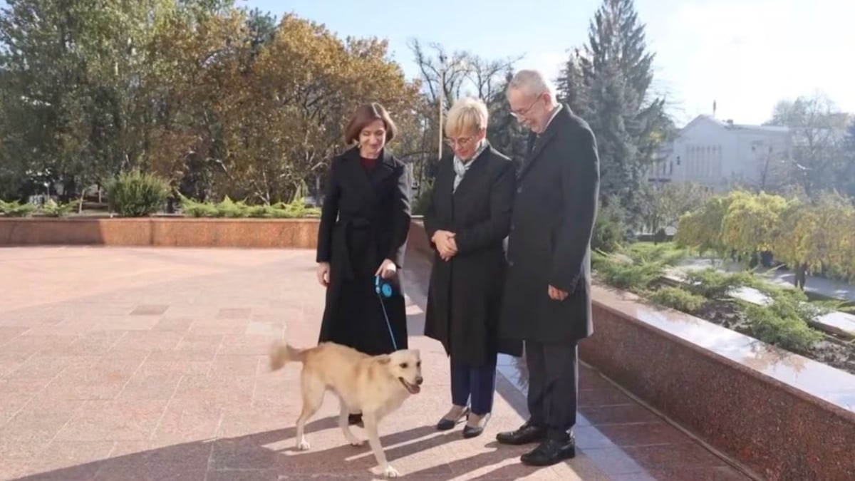 Moldova Cumhurbaşkanı Sandu’nun köpeği, Avusturya Cumhurbaşkanı Bellen’i ısırdı